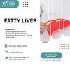 FATTY LIVER