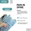 PAIN IN THE SPINE